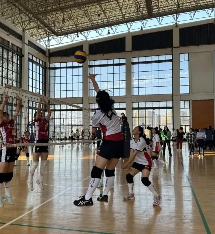 1713234989401004.webp 640 (18).webp