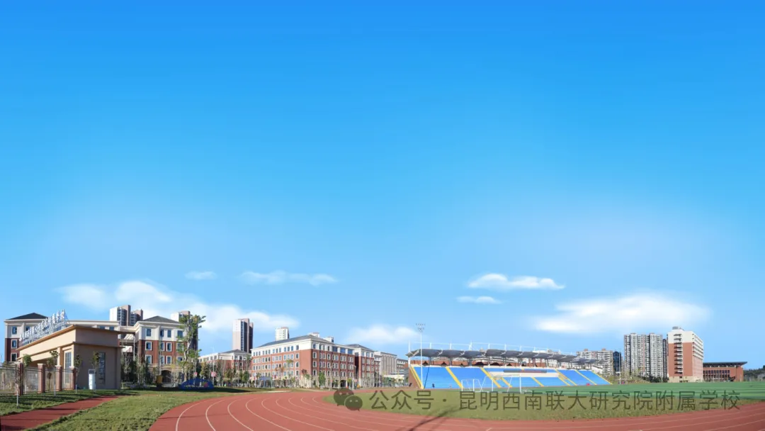 640 (5).webp