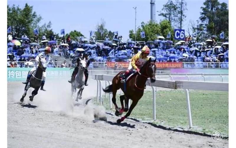 金色热线丨云南民族体育和竞赛成绩名列全国前列