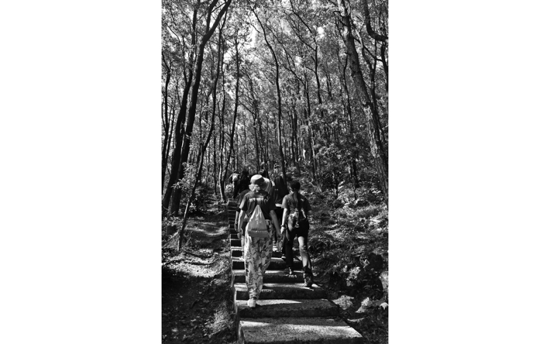 秋季登高 别忘保护膝盖